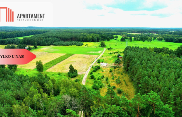 Cegielnik działka 1356m2 ze ścianą lasu