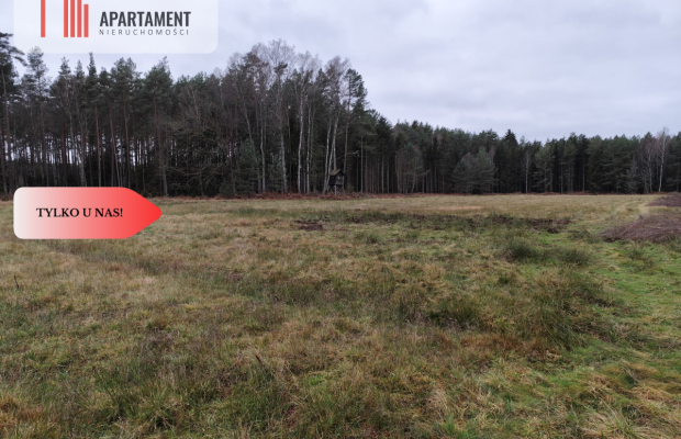 Tylko u Nas! Działka rolna o pow. 2,35 ha.