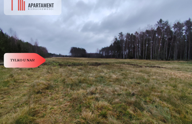 Tylko u Nas! Działka rolna o pow. 2,35 ha.