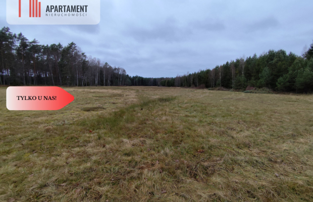Tylko u Nas! Działka rolna o pow. 2,35 ha.