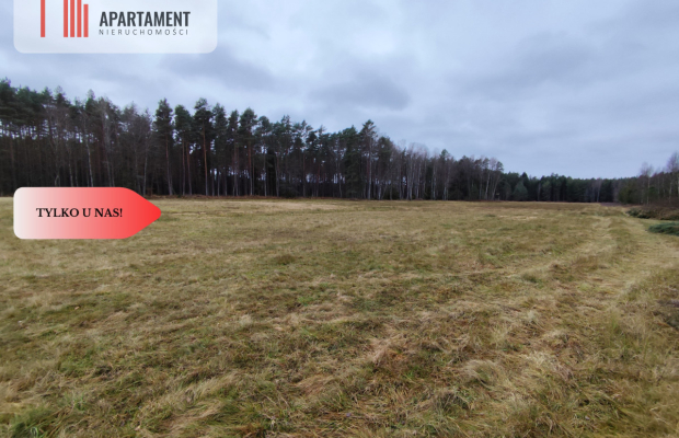 Tylko u Nas! Działka rolna o pow. 2,35 ha.