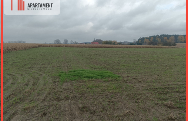 Działka z dala od zgiełku miasta