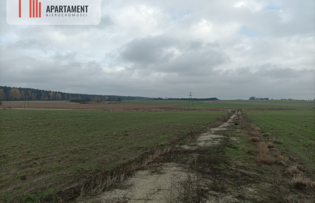 Działka z dala od zgiełku miasta