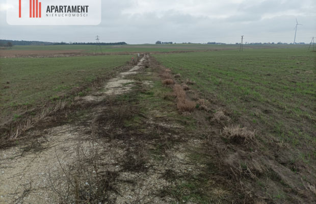 Działka z dala od zgiełku miasta