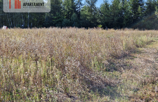 Działka z pozwoleniem na budowę blisko lasu