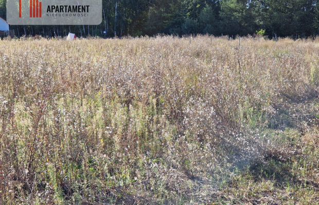 Działka z pozwoleniem na budowę blisko lasu