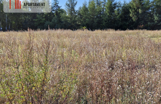 Działka z pozwoleniem na budowę blisko lasu