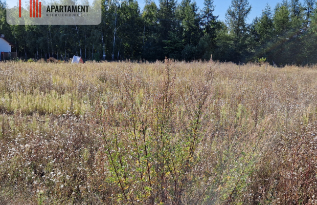 Działka z pozwoleniem na budowę blisko lasu