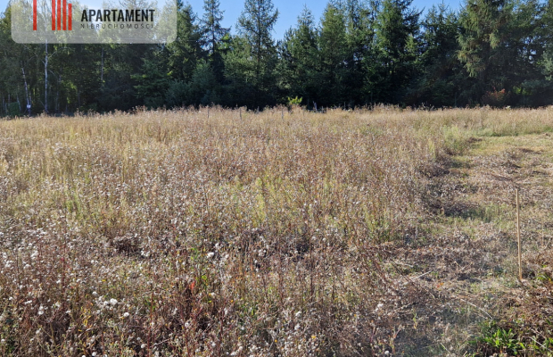 Działka z pozwoleniem na budowę blisko lasu
