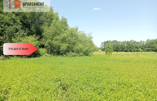 Dzialka z możliwością zabudowy na WZ