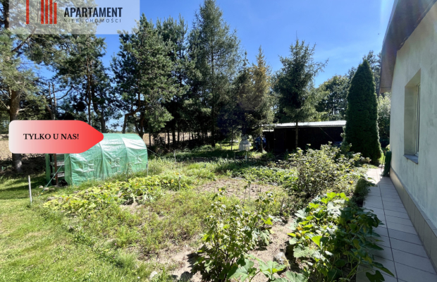 Urokliwa Działka 3500 m² przy Lesie, ogrodzona