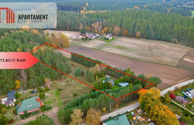 Urokliwa Działka 3500 m² przy Lesie, ogrodzona
