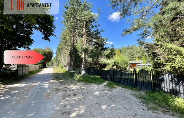 Urokliwa Działka 3500 m² przy Lesie, ogrodzona