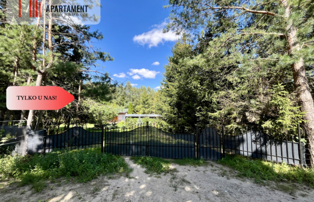 Urokliwa Działka 3500 m² przy Lesie, ogrodzona