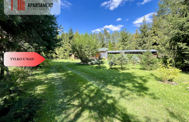 Urokliwa Działka 3500 m² przy Lesie, ogrodzona