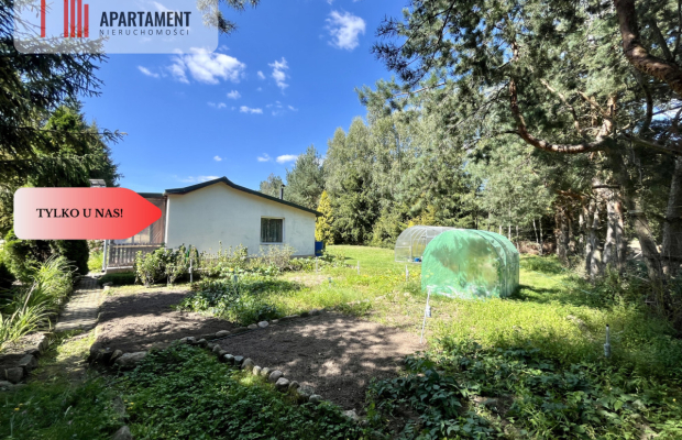 Urokliwa Działka 3500 m² przy Lesie, ogrodzona