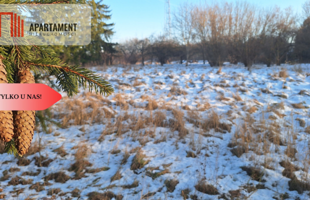 Działaka z WZ, budowa osiedla