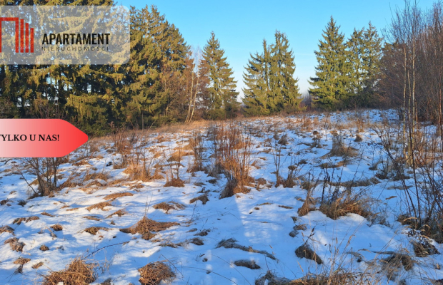 Działaka z WZ, budowa osiedla