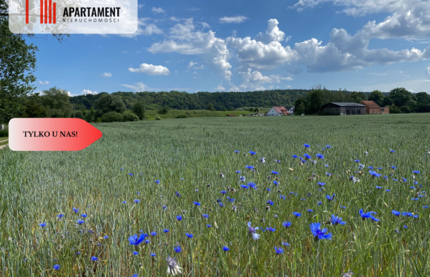 4 działki Budowlane obok siebie Pogorzała Wieś