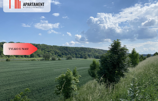 4 działki Budowlane obok siebie Pogorzała Wieś