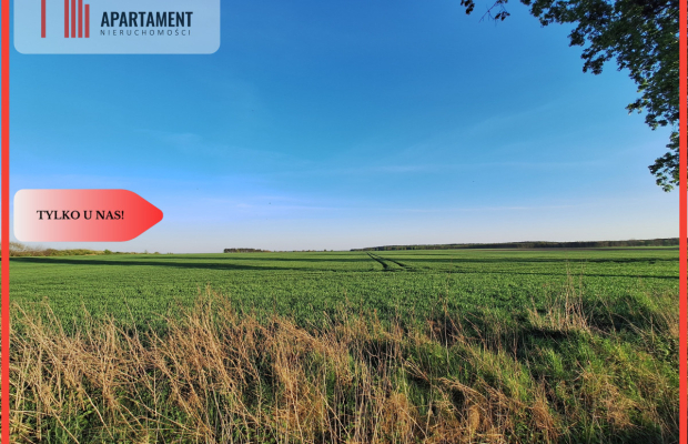 Kompleks 8 działek budowlanych + 110a ziemi