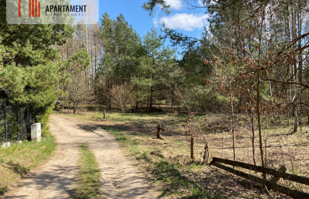 Tylko u nas! Działka blisko natury w Borku