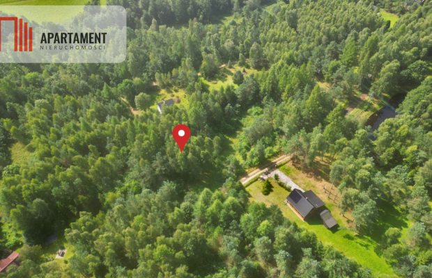 Tylko u nas! Działka blisko natury w Borku