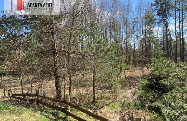 Tylko u nas! Działka blisko natury w Borku