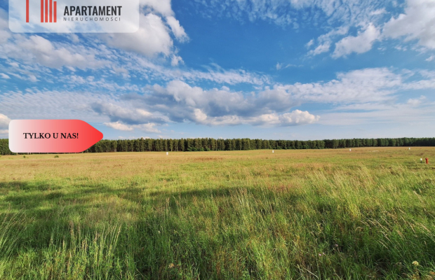 OKAZJA! Tania działka budowlana blisko Piły!