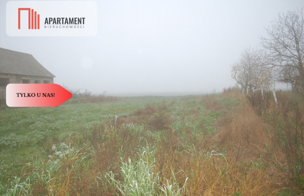 Działka budowlana z zabudowaniami Pigża.