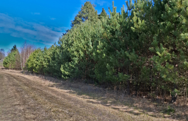 Działki siedliskowe w spokojnej okolicy