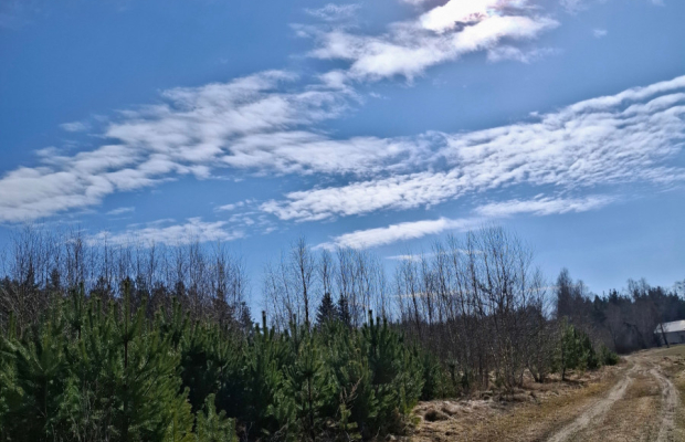 Działki siedliskowe w spokojnej okolicy