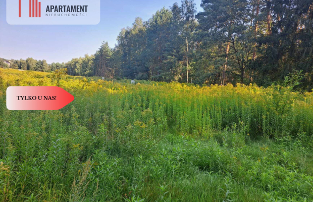 Działka 10 ar budowlana przy ścianie lasu!