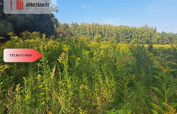 Działka 10 ar budowlana przy ścianie lasu!