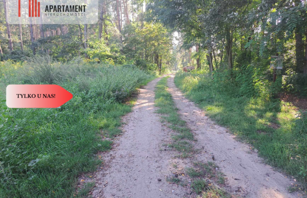 Działka 10 ar budowlana przy ścianie lasu!