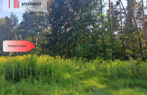 Działka 10 ar budowlana przy ścianie lasu!