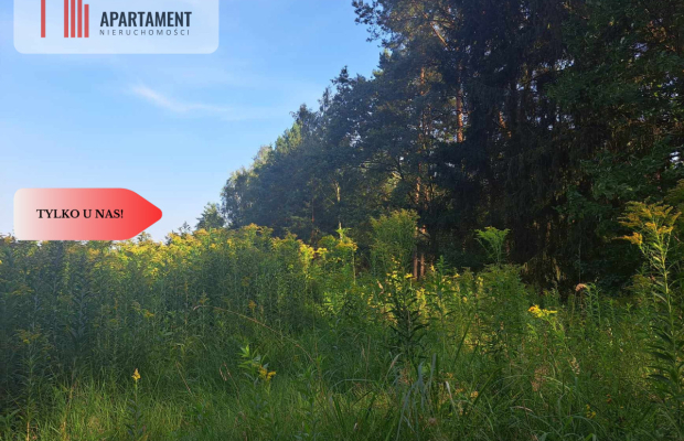 Działka 10 ar budowlana przy ścianie lasu!