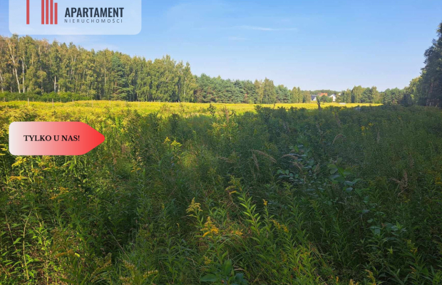 Działka 10 ar budowlana przy ścianie lasu!