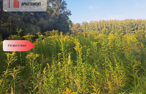 Działka 10 ar budowlana przy ścianie lasu!