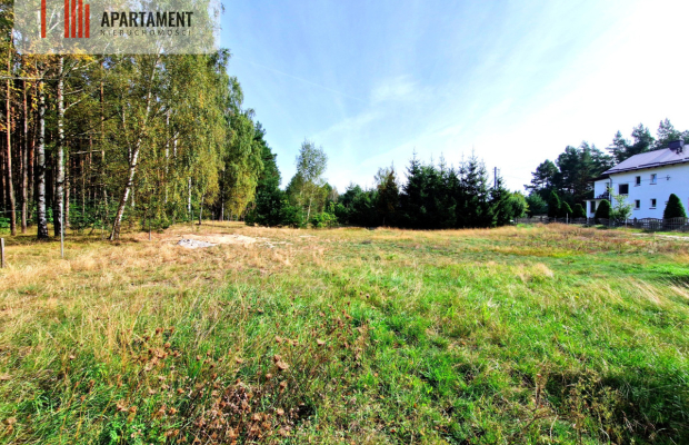 Działka budowlana ze ścianą lasu .