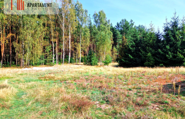 Działka budowlana ze ścianą lasu .