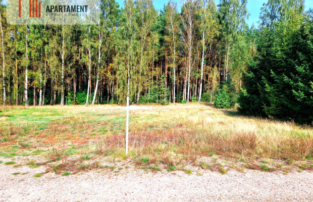 Działka budowlana ze ścianą lasu .