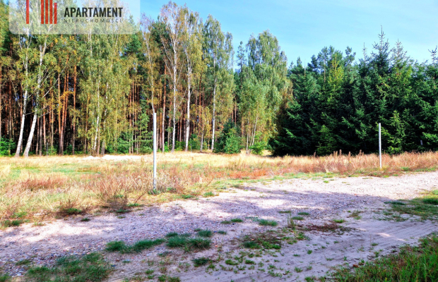 Działka budowlana ze ścianą lasu .