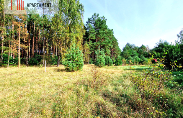 Działka budowlana ze ścianą lasu .