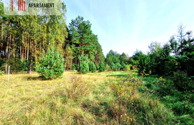 Działka budowlana ze ścianą lasu .