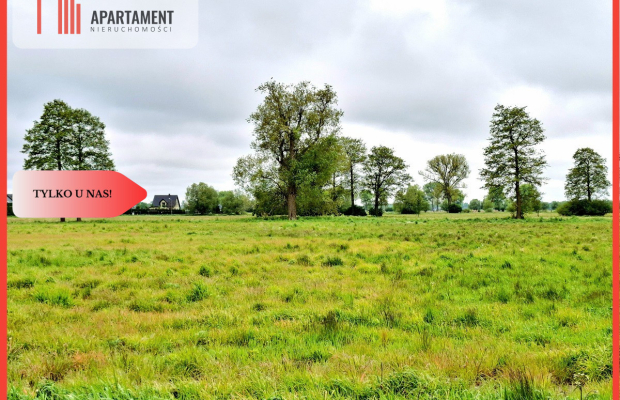 Dziemionna 730 m2 z warunkami zabudowy