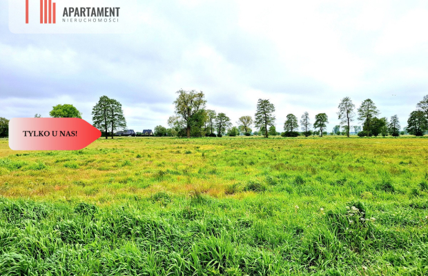 Dziemionna 730 m2 z warunkami zabudowy