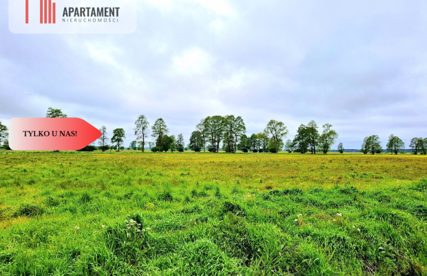 Dziemionna 730 m2 z warunkami zabudowy