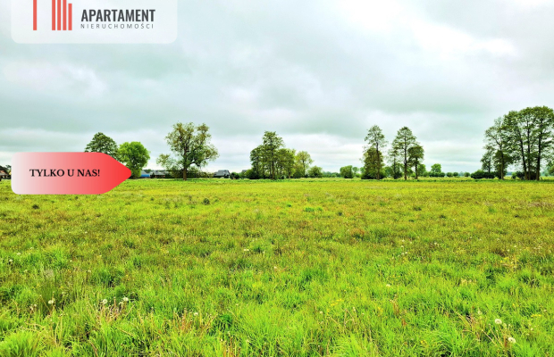 Dziemionna 730 m2 z warunkami zabudowy