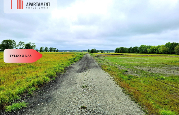 Dziemionna 730 m2 z warunkami zabudowy